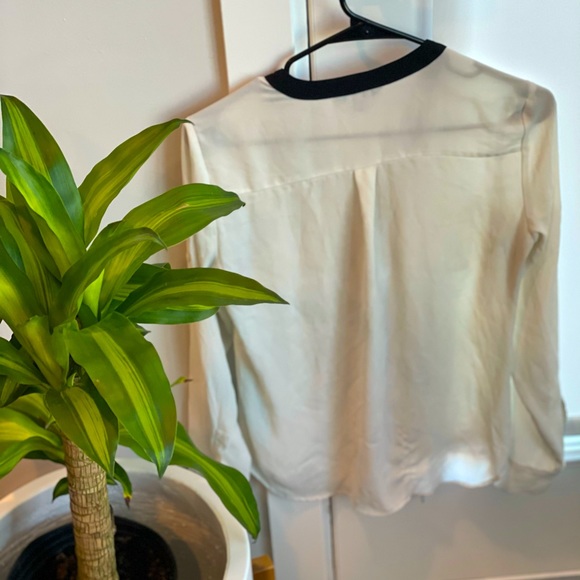 Express top - Picture 2 of 2